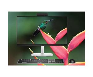 HP ESTUDIO 8 G1I 24 U5 24/512 W11P