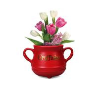 Hp Grifondoro Calderone Wall Vase Shaped Vaso Hmb