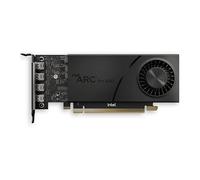 HP Intel Arc 6 GB 4mDP Graphics