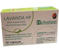 HP LAVANDA 30CPS