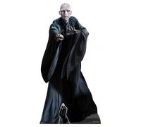 HP Lord Voldemort Lifesized Cutout Sagomato Scala 1:1 Harry Potter