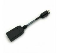 HP Mini DisplayPort to DisplayPort adapter cable, male-to-male design, for connecting devices to displays, supports video signa