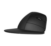 HP Mouse wireless ergonomico 920 Mano destra Design verticale Ottico 6H1A4AA