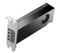 HP NVIDIA RTX PRO 2000 Blackwell da 16 GB