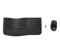 E_0015_ 19121430000 Hp HP 685 - Tastatur-und-Maus-Set - dual mode, 3-zon