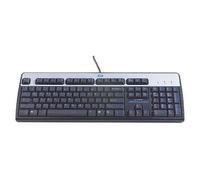 HP USB Standard Keyboard tastiera Olandese