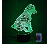 HPBN8 Ltd 3D Cane Night Light Lamp 7/16 cambiamento di colore LED USB Power Telecomando Gift Decor decorazioni di Natale regalo di San Valentino regalo di compleanno