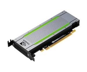 HPE - S SVR STOR & INF (SI) BTO MODULO NVIDIA Tesla T4 16GB
