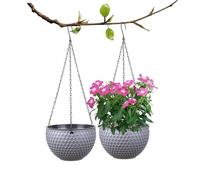Hperu 2Pcs vasi di fiori sospesi all'aperto in plastica per piante Vaso di fiori sospesi autoinnaffiante con foro di drenaggio Cesto pensile a nido d'ape Contenitore per piante da interno, Grigio-S