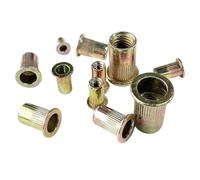 HPGHZNYNMK Set di 250 utensili for rivetti filettati, assortimento di rivetti filettati metrici M3 M4 M5 M6 M8 M10 M12 in acciaio al carbonio for testa piatta. Bulloni e dadi