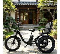 HpJfdsU Bicicletta Elettrica a 3 Ruote, Bici da Turismo con Sella E Pneumatici Larghi, Display LCD, Faro Anteriore, Telaio in Lega di Alluminio, Portata 150 kg, per Adulti E Anziani Black