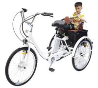 HpLNDas Bicicletta Elettrica Familiare A 3 Ruote, Triciclo Elettrico per Adulti con Cestino/Batteria Rimovibile, Pneumatici da 24 Pollici, con Sedile O Cestino, Carico Massimo: 150 kg,White-WithSeat