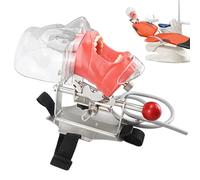 HpLNDas Manichino Simulatore Dentale Phantom Head Plastic Educational Dental Tooth Model con Montaggio da Banco, Testa di Manichino Simulatore Dentale per Scuole di Odontoiatria Istruzione Pratica