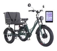 HpLNDas Triciclo Elettrico da 24 Pollici con Pneumatici Larghi E Sedile Passeggero per Adulti, Bicicletta Elettrica da 48 V/18 Ah - Carico: 150 kg, Display LCD, per Città E Strade di Montagna,Green