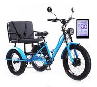 HpLNDas Triciclo Elettrico da 24 Pollici con Pneumatici Larghi E Sedile Passeggero per Adulti, Bicicletta Elettrica da 48 V/18 Ah - Carico: 150 kg, Display LCD, per Città E Strade di Montagna,Blue