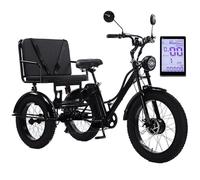 HpLNDas Triciclo Elettrico da 24 Pollici con Pneumatici Larghi E Sedile Passeggero per Adulti, Bicicletta Elettrica da 48 V/18 Ah - Carico: 150 kg, Display LCD, per Città E Strade di Montagna,Black