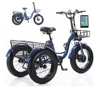 HpLNDas Triciclo Elettrico per Adulti - Pedalata Assistita, Bici Elettrica A 3 Ruote con Pneumatici Larghi da 20'', Display LCD, Batteria Rimovibile da 48 V E 13 Ah, Carico Massimo: 150 kg,Blue