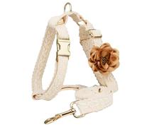 HQREA - Set di pettorina e guinzaglio, con chiusura in metallo, regolabile e ricamato a mano, in cotone, anti-trazione, per cani di taglia media, per matrimonio e compleanno, bianco, M