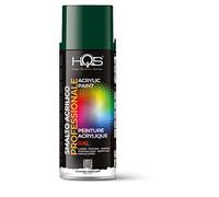HQS Bomboletta di Vernice Spray Acrilica Colori Ral (Ral 6005 Verde Muschio)