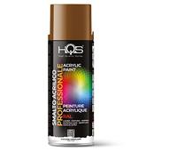 HQS Bomboletta di Vernice Spray Acrilica Colori Ral (Ral 8003 Marrone Terracotta)