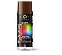 HQS Bomboletta di Vernice Spray Acrilica Colori Ral (Ral 8011 Marrone Noce)