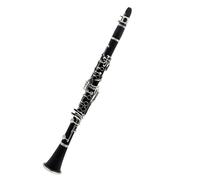 HQWBVD Clarinetto Clarinetto Bb17 Clarinetto Professionale in Si Bemolle per Principianti Compresi Accessori per Strumenti