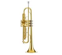 HQWBVD Tromba Strumento A Tromba Standard Professionale in Chiave Si Bemolle Livello di Prestazione Professionale per Gruppi per Adulti Principianti(A)