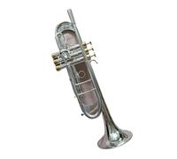 HQWBVD Tromba Tromba BC TR-197GS Tromba Placcata Argento Piccolo Strumento Musicale in Ottone Tromba Professionale(Silver)