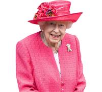 HRH The Queen (Pink) Ritaglio di buddy a metà corpo