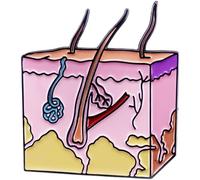 Hrippy Spille Bavero per Pelle Dermatologica per Anatomia dello Zaino E Spille Cellulari Spille Morbide Distintivi in Metallo Accessori per Gioielli