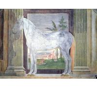 HRJUBWREE Dipinti Famosi Nordico Pittura Tela Immaginie di un animale grigio Dalle Scuderie di Ludovico Gonzaga III di Mantova di Giulio Romano Per la Decorazione della Camera da Letto 60x90cm