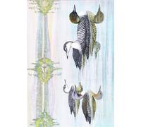 HRJUBWREE Famoso Pittura Astratta Poster Manifesti Quadri Arte Illustrazione dalla storia naturale degli uccelli est di Louis Agassiz Fuertes Per la Decorazione Domestica 60x90cm