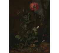 HRJUBWREE Famoso Pittura Astratta Poster Manifesti Quadri Arte Natura morta con papaveri insetti e rettili di Otto Marseus Van Schrieck Per la Decorazione Domestica 60x90cm