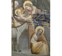 HRJUBWREE Riproduzione Dipinto Stampa Immagine Pittura su Tela Vintage il Particolare della Natività della Vergine col Bambino l'Asino e Giuseppe di Giotto Di Bondone Per la Decorazione Murale 60x90cm