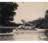 HRJUBWREE Riproduzione Dipinto Stampa Immagine Pittura su Tela Vintage Versailles Casta Venere di Eugène Atget Per la Decorazione Murale 60x90cm