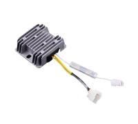 HRKAURB Regolatore di Tensione Automatico Argento da 5 kW, 12 V ARV, Adatto for generatori Diesel monofase 186F.