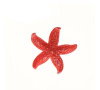 Hrlace Stella marina in resina, 4,4 - 9 cm, decorazione artificiale Starfish Mini Coral Reef per serbatoio di pesce, Landscape Scenery, Acquario, Beach Ocean, Nautico, Christmas Tree Home Decorations,