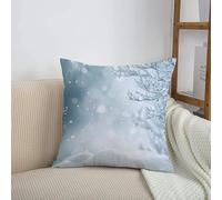 HRRASFAZF Cuscino di divano cuscino decorazione cuscino abitazione camera da letto Copertura quadrata decorativa,Immagine a tema invernale e natalizio con neve e albero ghiacciato,50x50 cm