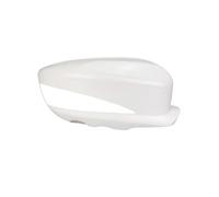 HRTLSS Calotta Specchietto Retrovisore per BYD per Surui per QIN G5 Specchietti Retrovisori per Auto Shell cap Housing Wing Door Side Mirror Cover Accessori