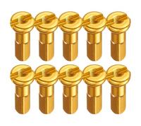 Hrtyvhin 10 tappi per raggi per mountain bike, biciclette, decorazioni per capezzoli, tappi per capezzoli ad alta resistenza, punte terminali per capezzoli durevoli