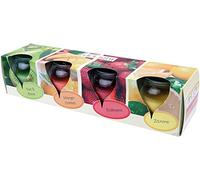 HS Candle, Set di 4 candele profumate in barattolo di vetro, lunga durata e piacevole profumo, Fruit Selection