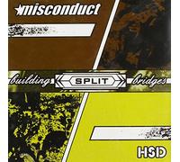 Hsd & Misconduct - Building Bridges