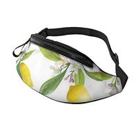 HSJFS Airplane Cockpit stampato Sport Crossbody Waist Bag Casual Chest Bag, Limoni tropicali freschi, Taglia unica