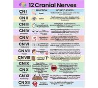 HSMXNEONJB Color Coded Cranial Nerves Chart Metal Sign Neurology Anatomy Study Guide Educational Poster for Students 8 X 12 in