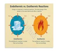 HSMXNEONJB Endothermic vs Exothermic Reactions Science Diagram Educational Metal Tin Sign for Chemistry Classroom Home School Study Wall-Art 8 X 12 in