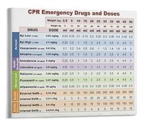 HSMXNEONJB In Case of Animal Emergency Poster Preparedness and Awareness Guide Canvas Wall-Art(Framed,08x12inch(20x30cm))