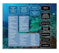 HSMXNEONJB Marine Life and Scuba Diving Knowledge Canvas Poster Wall-Art for Ocean Lover Bedroom and Living Room Decor(Unframed,16x24inch(40x60cm))