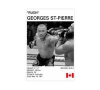 hsqxidhz Poster su tela con Georges Saint Pierre, decorazione per camera da letto, ufficio, camera da letto, regalo, 30 x 45 cm