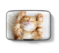 Hsxnam Portafoglio in Alluminio con Blocco RFID, Custodia Protettiva per Carte di Credito, Dolce Porta Carte da Visita per Uomo e Donna, Porta Carte di Credito e Documenti, s, Moderno