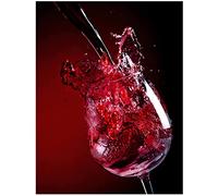 HSYIFF Quadro Su Tela Senza Cornice 40 * 60cm Bicchiere di vino rosso moderno bar ristorante casa seduta metope ornamento Art Poster e Wall Art Picture Print Modern Family Room décor